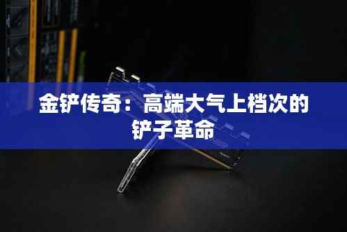 业务范围 第939页