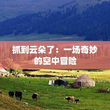 联系我们 第330页