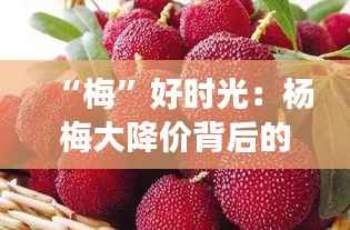 “梅”好时光：杨梅大降价背后的甜蜜故事