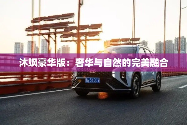 沐飒豪华版：奢华与自然的完美融合