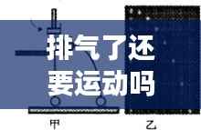 排气了还要运动吗？——探索身体与运动的微妙关系