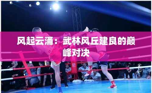 精品物流专线 第314页