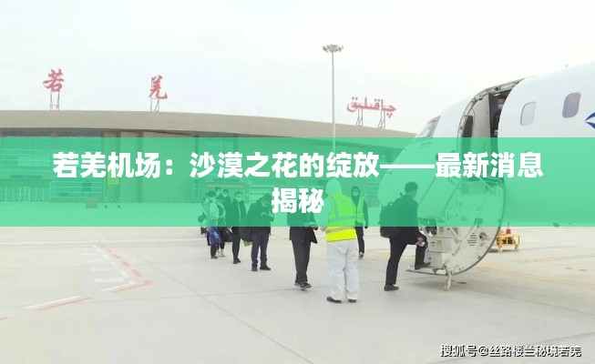 公路运输 第304页