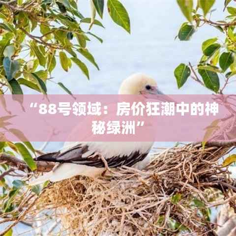 “88号领域：房价狂潮中的神秘绿洲”