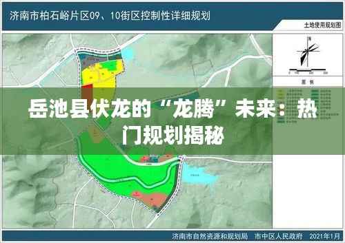 岳池县伏龙的“龙腾”未来：热门规划揭秘