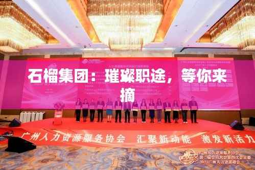 经典案例 第331页