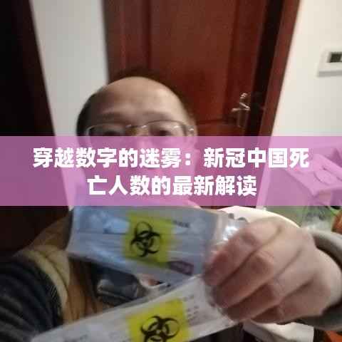 穿越数字的迷雾：新冠中国死亡人数的最新解读