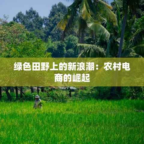 绿色田野上的新浪潮：农村电商的崛起