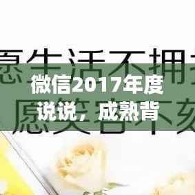 微信2017年度说说，成熟背后的故事与感悟