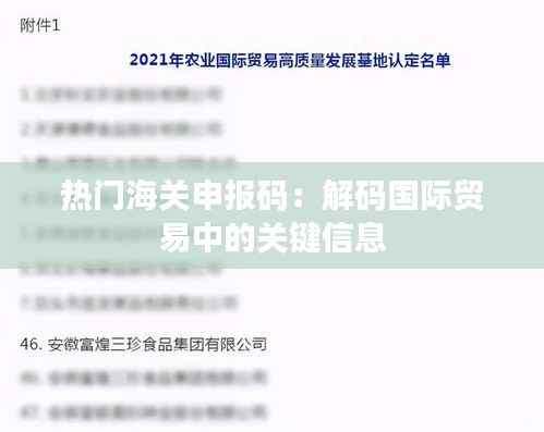 热门海关申报码：解码国际贸易中的关键信息