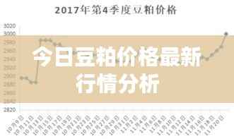 今日豆粕价格最新行情分析