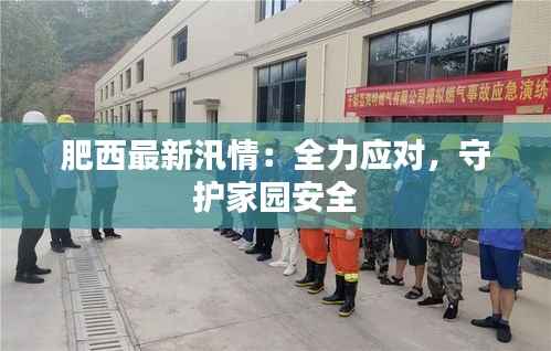 肥西最新汛情：全力应对，守护家园安全