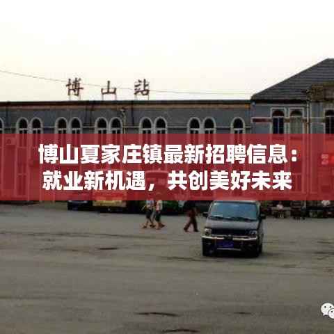 博山夏家庄镇最新招聘信息：就业新机遇，共创美好未来