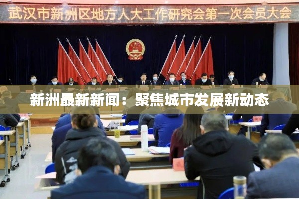 新洲最新新闻：聚焦城市发展新动态