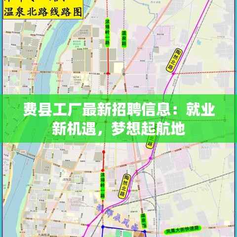 费县工厂最新招聘信息：就业新机遇，梦想起航地