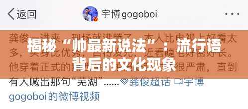 揭秘“帅最新说法”：流行语背后的文化现象