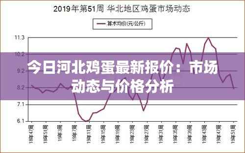 今日河北鸡蛋最新报价：市场动态与价格分析