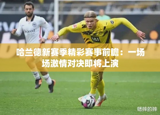 哈兰德新赛季精彩赛事前瞻：一场场激情对决即将上演