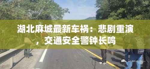 毛手毛脚 第6页