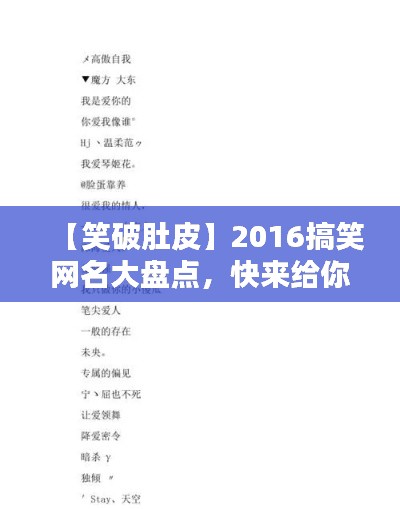 【笑破肚皮】2016搞笑网名大盘点，快来给你的ID换新装！