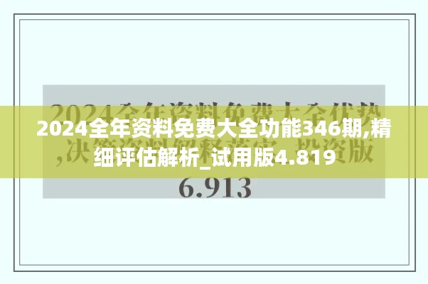 2024全年资料免费大全功能346期,精细评估解析_试用版4.819