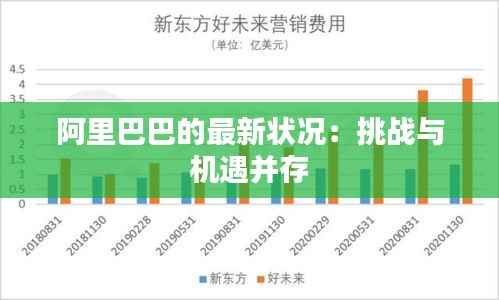 阿里巴巴的最新状况：挑战与机遇并存
