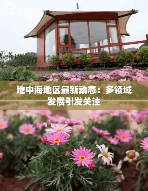 地中海地区最新动态：多领域发展引发关注