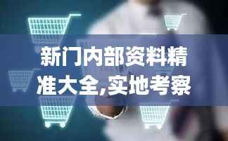 新门内部资料精准大全,实地考察数据执行_网页款2.857