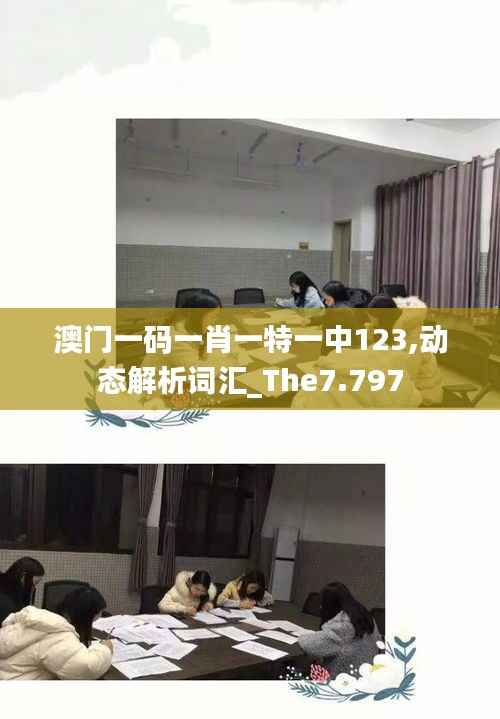 澳门一码一肖一特一中123,动态解析词汇_The7.797