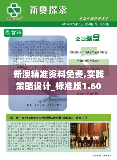 新澳精准资料免费,实践策略设计_标准版1.607