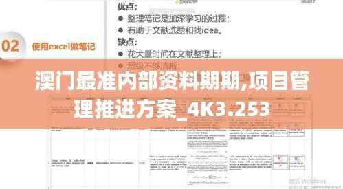 澳门最准内部资料期期,项目管理推进方案_4K3.253