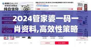 2O24管家婆一码一肖资料,高效性策略设计_Tizen19.235