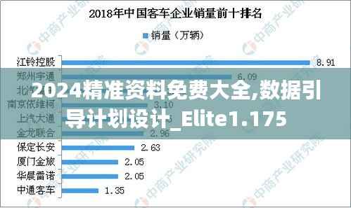 2024精准资料免费大全,数据引导计划设计_Elite1.175