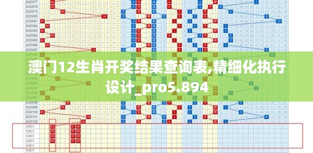 澳门12生肖开奖结果查询表,精细化执行设计_pro5.894