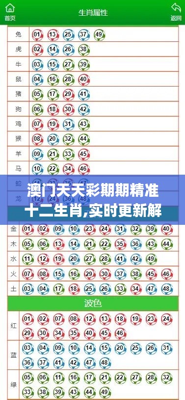 澳门天天彩期期精准十二生肖,实时更新解释定义_XP18.874