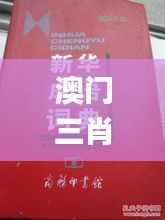 澳门三肖三码精准100%新华字典,实地调研解释定义_VIP10.574