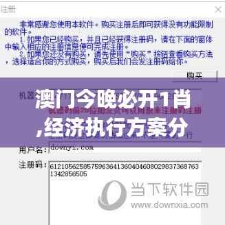 澳门今晚必开1肖,经济执行方案分析_进阶款2.967