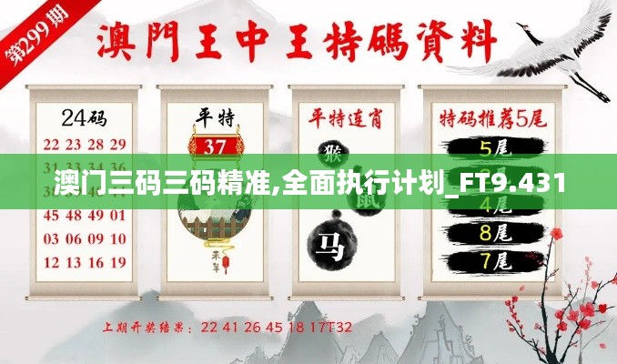 澳门三码三码精准,全面执行计划_FT9.431