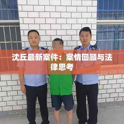 沈丘最新案件：案情回顾与法律思考