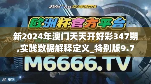 新2024年澳门天天开好彩347期,实践数据解释定义_特别版9.743