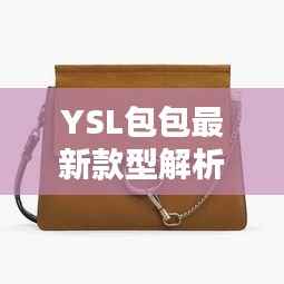 YSL包包最新款型解析：时尚界的奢华新宠