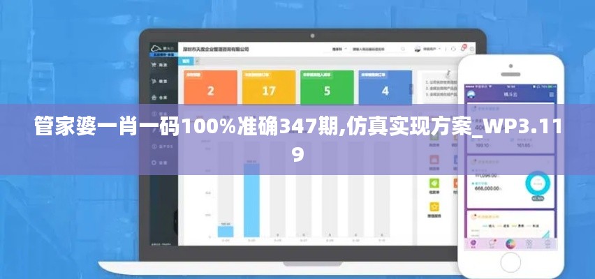管家婆一肖一码100%准确347期,仿真实现方案_WP3.119