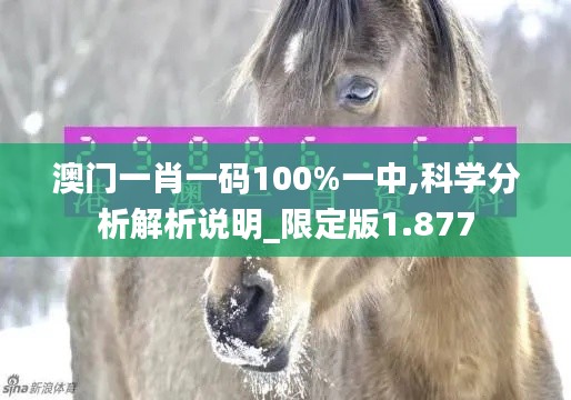 澳门一肖一码100%一中,科学分析解析说明_限定版1.877