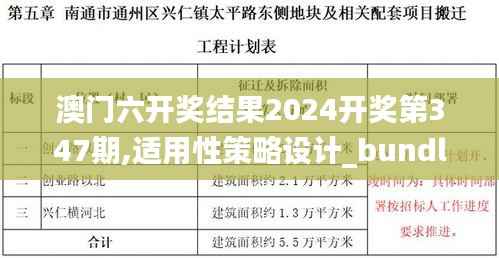 澳门六开奖结果2024开奖第347期,适用性策略设计_bundle3.744