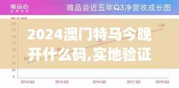 2024澳门特马今晚开什么码,实地验证分析策略_DX版1.834