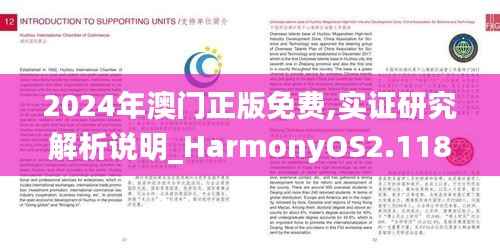2024年澳门正版免费,实证研究解析说明_HarmonyOS2.118