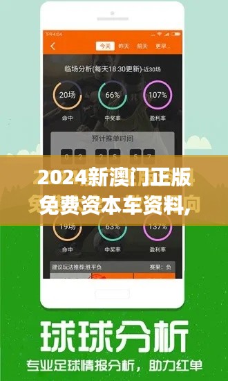 2024新澳门正版免费资本车资料,精细设计解析策略_社交版4.919