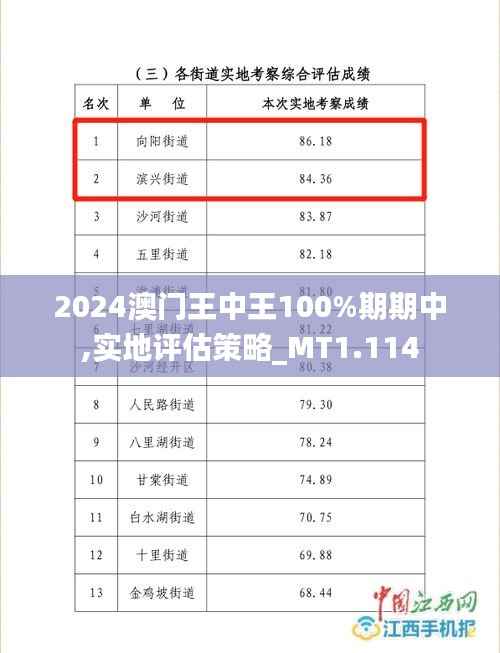 2024澳门王中王100%期期中,实地评估策略_MT1.114