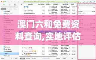 澳门六和免费资料查询,实地评估解析数据_Plus7.762