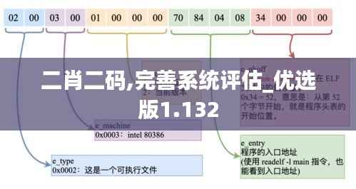 二肖二码,完善系统评估_优选版1.132